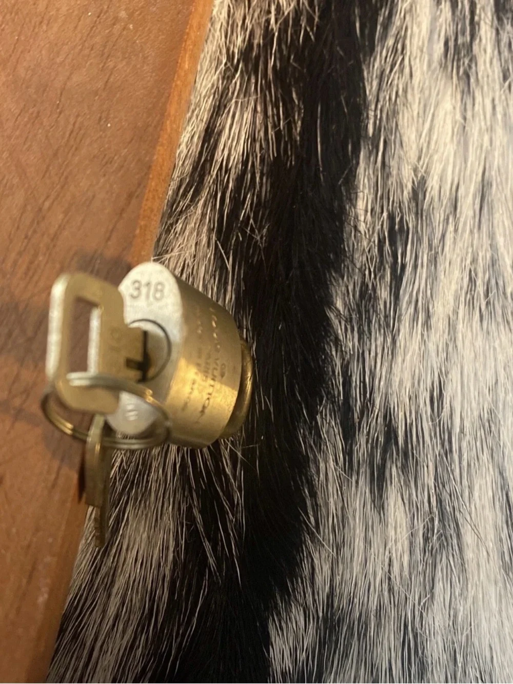 LOUIS VUITTON BRASS LOCK AND KEY SET.